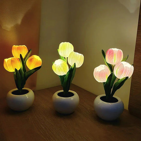 Led Tulip Light