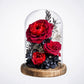 Preserved Fresh Flower Rose Preservation Glass Cover Teacher's Day Valentine's Day Gift Birthday Girlfriend Gift for Bestie Lettering