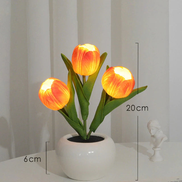 Led Tulip Light